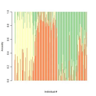 The X-Ray of Memory - A Study in Temporal Distortion and Spectral Color Palettes!